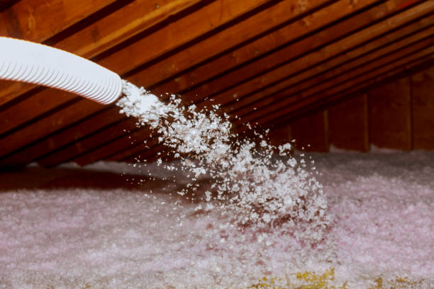 Types of Insulation We Offer in Columbia, SC